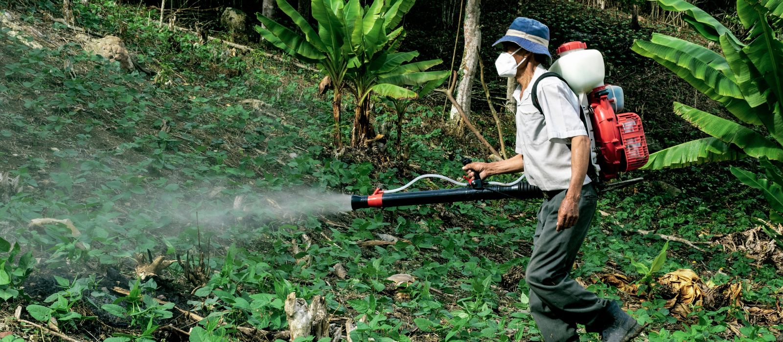 Curso de NR-31 Segurança com Agrotóxicos, Aditivos, Adjuvantes e Produtos Afins